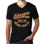 Mens Vintage Tee Shirt Graphic V-Neck T Shirt Warriors Since 2018 Deep Black - Black / S / Cotton - T-Shirt