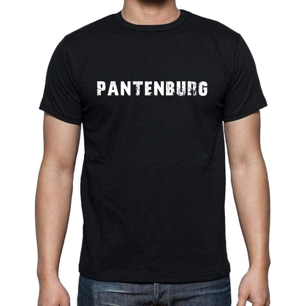 Pantenburg Mens Short Sleeve Round Neck T-Shirt 00003 - Casual