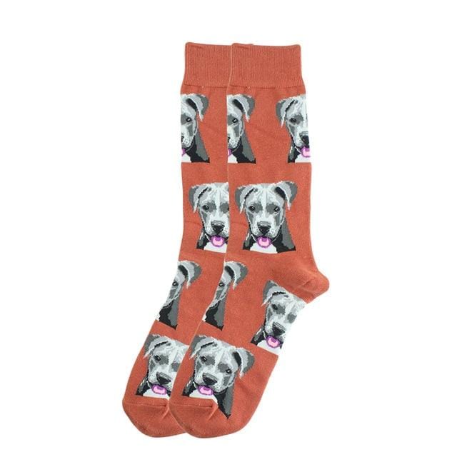 Happy Socks Fashion Hip Hop Skateboard Socks Cotton Cartoon Shark Pig Dog Food Hamburger Pizza Sushi Funny Men Women Calcetines