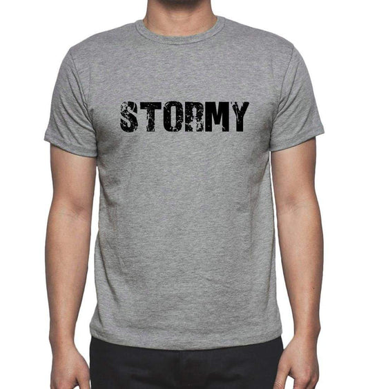 Stormy Grey Mens Short Sleeve Round Neck T-Shirt 00018 - Grey / S - Casual